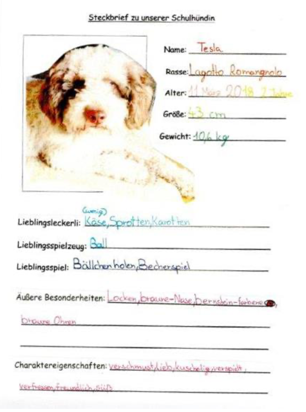 Steckbrief Schulhündin