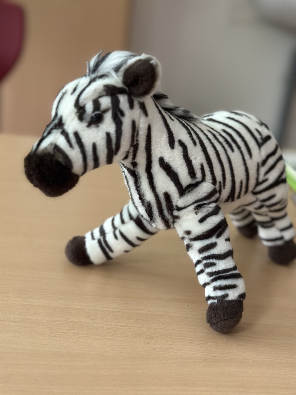 Zebraklasse